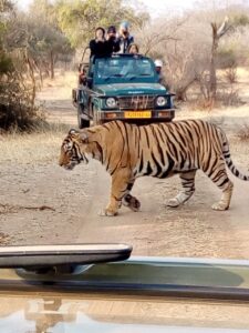 Ranthambore National Park Tour Package