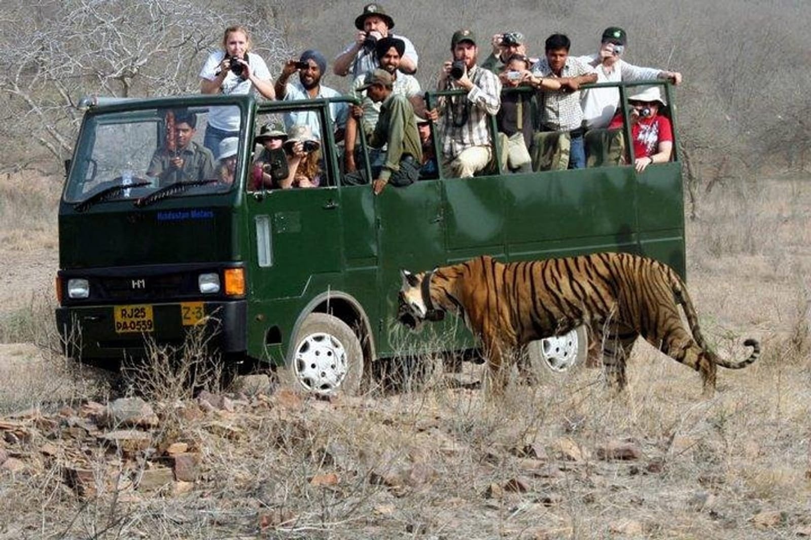 Ranthambore Camter safari booking